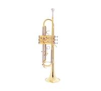 Tromba professionale Nuova tromba per strumenti a fiato per principianti in ottone dorato in Si bemolle