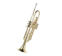Tromba professionale Nuova versione dello strumento tromba in Sib con bocchino guanti con scatola in ottone placcato oro