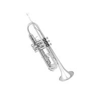 Tromba professionale Orchestra di trombe consigliata ai principianti per prendere la tromba in si bemolle per prestazioni professionali