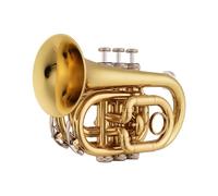 Tromba professionale Orchestra Mini tromba tascabile per principianti in Sib bemolle in ottone