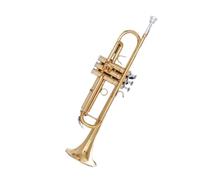 Tromba professionale Ottoni per strumenti musicali Tromba in si bemolle raccomandazione dell'insegnante della squadra di tromba scolastica