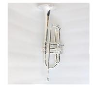 Tromba Professionale Per Studenti Per Tromba Con Valvole Esagonali Speciali Placcate In Argento Principianti Ottone Tromba
