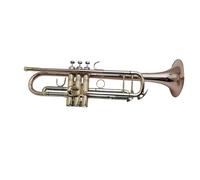 Tromba professionale Per studenti principianti Artisti di concerti Tromba in Sib Strumento in ottone professionale con scatola di accessori