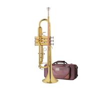 Tromba Professionale Per Suonare La Tromba Senza Piombo Per Strumenti A Fiato Per Adulti. Tromba B Piatta (Color : 02)