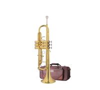 Tromba Professionale Per Suonare La Tromba Senza Piombo Per Strumenti A Fiato Per Adulti. Tromba B Piatta (Color : 01)