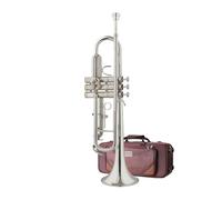 Tromba Professionale Per Suonare La Tromba Senza Piombo Per Strumenti A Fiato Per Adulti. Tromba B Piatta (Color : 03)
