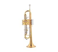 Tromba Professionale Per Suonare La Tromba Senza Piombo Per Strumenti A Fiato Per Adulti. Tromba B Piatta (Color : 04)