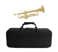 Tromba professionale Piccola borsa portatile impermeabile pratica strumento musicale fornisce borsa per strumenti per orchestra da concerto