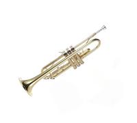 Tromba professionale Piccola scatola per cinturino portaoggetti per bocchino in ottone placcato oro in Sib piatto squisita e resistente