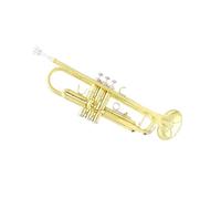 Tromba professionale Principiante professionista per principianti con corpo in ottone per tromba in chiave B che suona la tromba per strumenti in ottone