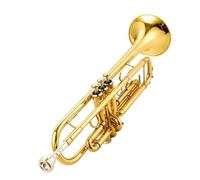 Tromba professionale Set da concerto per tromba in ottone dorato e argento(Color:Brass)