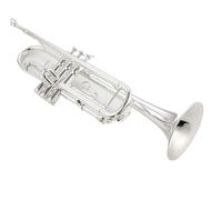 Tromba professionale Set da concerto per tromba in ottone dorato e argento(Color:Silver)