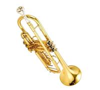 Tromba professionale Set da concerto per tromba strumento a tromba in ottone dorato argentato (Color : Gold)
