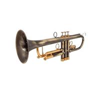 Tromba professionale Set di trombe in Sib standard con tubo in rame adatto a studenti e principianti con bocchino rigido 7C