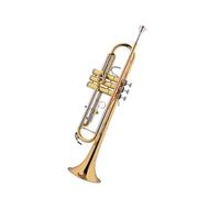 Tromba professionale Si bemolle 85 tromba in ottone strumento tromba si bemolle Banda studentesca di fiati dei Giovani Pionieri