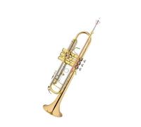 Tromba professionale Si bemolle 85 tromba in ottone strumento tromba si bemolle Banda studentesca di fiati dei Giovani Pionieri