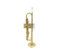 Tromba professionale Si bemolle piccolo laccato oro nichelato