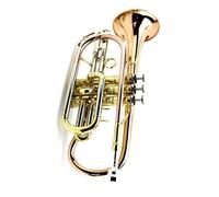 Tromba professionale Strumento a cornetta piatta per tromba in bronzo fosforoso