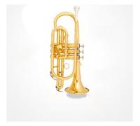 Tromba professionale Strumento a cornetta portatile in si bemolle strumento a tromba tascabile banda professionale per esami per principianti