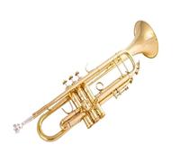 Tromba professionale Strumento a fiato occidentale di alta qualità Tromba in Sib Strumento piatto in ottone placcato argento con custodia in pellev(Color:2)