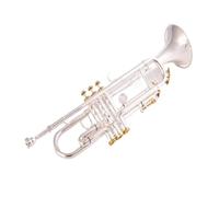 Tromba professionale Strumento a fiato occidentale di alta qualità Tromba in Sib Strumento piatto in ottone placcato argento con custodia in pellev(Color:3/4)