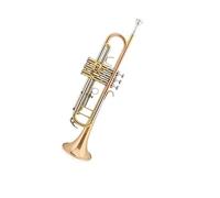 Tromba professionale Strumento a fiato occidentale tromba tromba tritono professionale in ottone Si bemolle