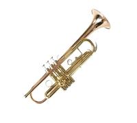 Tromba professionale Strumento a fiato tromba in bronzo fosforoso intermedio Tromba intermedia tromba in si bemolle squisita