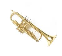 Tromba professionale Strumento a fiato tromba intermedia tromba squisita in si bemolle
