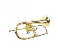 Tromba professionale Strumento a tromba a tre tasti in si bemolle professionale che suona l'oro di base