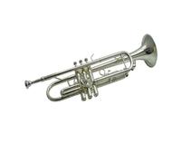Tromba professionale Strumento a tromba B piatto nichelato per esame di grado principiante Raccomandazione professionale
