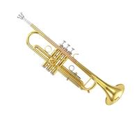 Tromba professionale Strumento a tromba B tuning grade performance in ottone fosforoso bronzo modello professionale a due colori