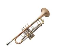Tromba professionale Strumento a tromba con peso spazzolato in bronzo fosforoso occidentale in si bemolle per studenti e principianti