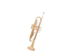 Tromba professionale Strumento a tromba entry-level nell'esame di grado per principianti adulti dell'orchestra studentesca in si bemolle