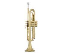 Tromba professionale Strumento a tromba Festa per orchestra di tromba spazzolata opaca