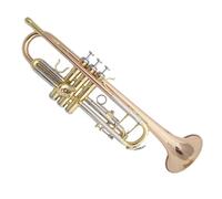 Tromba professionale Strumento a tromba in bronzo fosforoso in si bemolle per principianti per sostenere il test con tasti flessibili