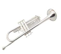 Tromba professionale Strumento a tromba in ottone per banda occidentale placcato in argento in Si bemolle per studenti principianti per adulti