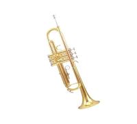 Tromba professionale Strumento a tromba in rame bianco con tonalità modificata orchestra studentesca entry-level in Si bemolle