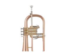Tromba professionale Strumento a tromba in si bemolle bronzo fosforoso modello argentato test di esecuzione per principianti