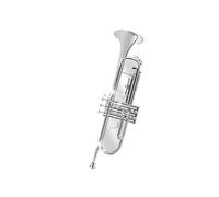 Tromba professionale Strumento a tromba in si bemolle in ottone nichelato in si bemolle Banda studentesca di fiati per studenti dei Young Pioneers