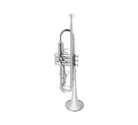 Tromba professionale Strumento a tromba in si bemolle nichelato universale per esame entry level per principianti