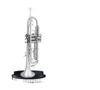 Tromba professionale Strumento a tromba in si bemolle per principianti esame scolastico orchestra tromba universale nichelata