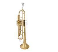 Tromba professionale Strumento a tromba in si bemolle per principianti tubo in ottone aggiornato universale per banda scolastica entry-level