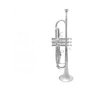 Tromba professionale Strumento a tromba in si bemolle placcato in argento Strumento a tromba in ottone placcato in argento per principianti