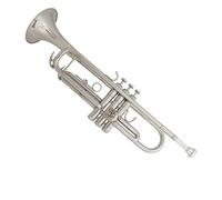Tromba professionale Strumento a tromba in si bemolle placcato in nichel per principianti per fare il test e suonare uno strumento a tromba per uso generale