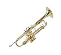 Tromba professionale Strumento a tromba in si bemolle rinforzato con bocca a campana rinforzata a doppio pilastro per principianti che suonano strumenti a fiato professionali