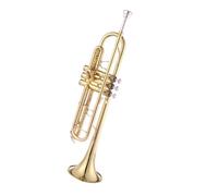 Tromba professionale Strumento a tromba in si bemolle strumento in ottone per principianti esame di performance entry level orchestra occidentale