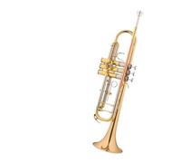 Tromba professionale Strumento a tromba in si bemolle studente principiante per bambini che suona uno strumento a fiato occidentale in ottone