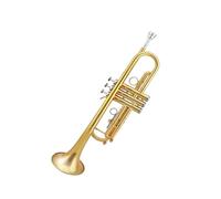 Tromba professionale Strumento a tromba in Si bemolle tipo 2008 corpo in tubo di ottone laccato superficie dorata tipo speciale