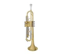 Tromba professionale Strumento a tromba in si bemolle tubo entry-level in rame bianco per gli studenti che sostengono gli esami di grado