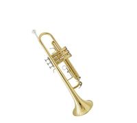Tromba professionale Strumento a tromba laccato oro tromba professionale per principianti livello B bemolle
